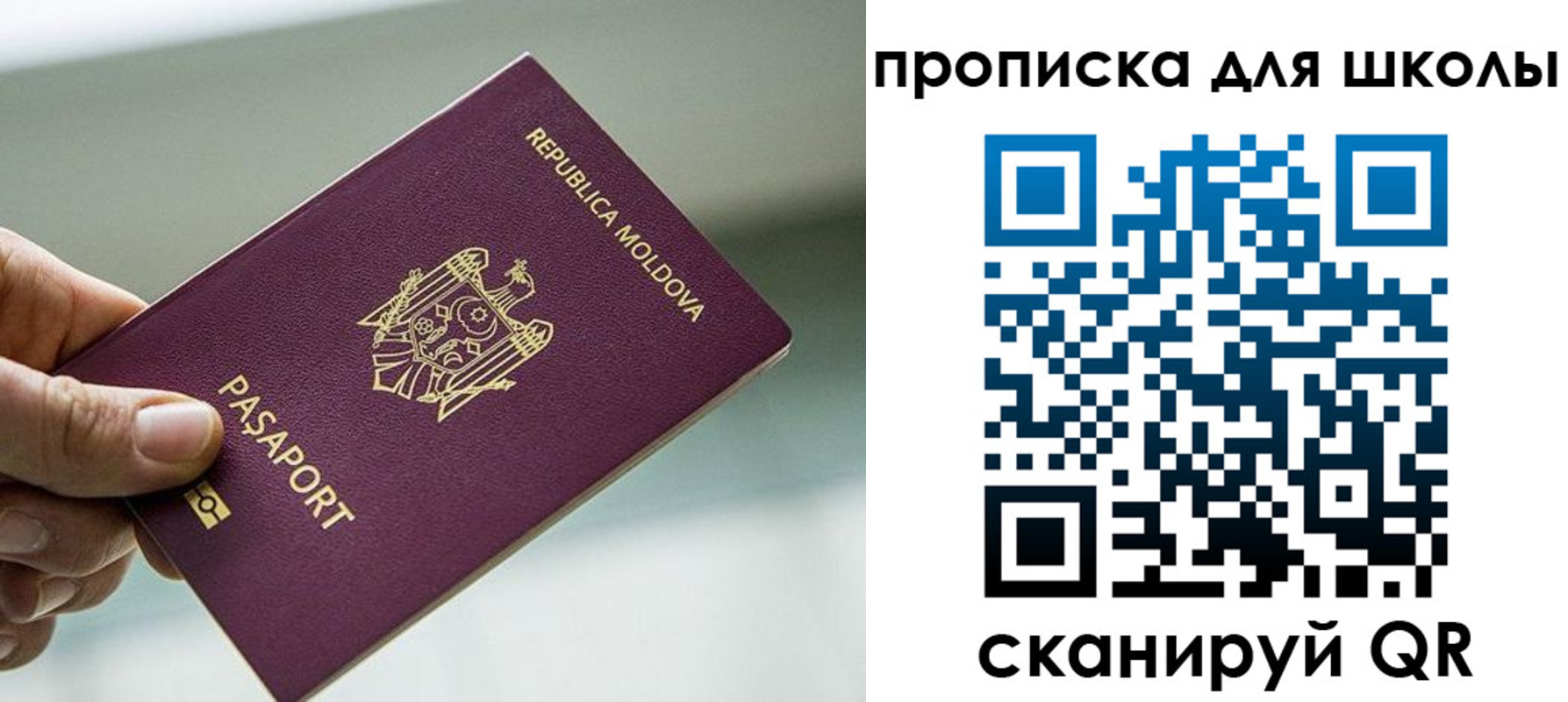 прописка в квартире в Щёкино